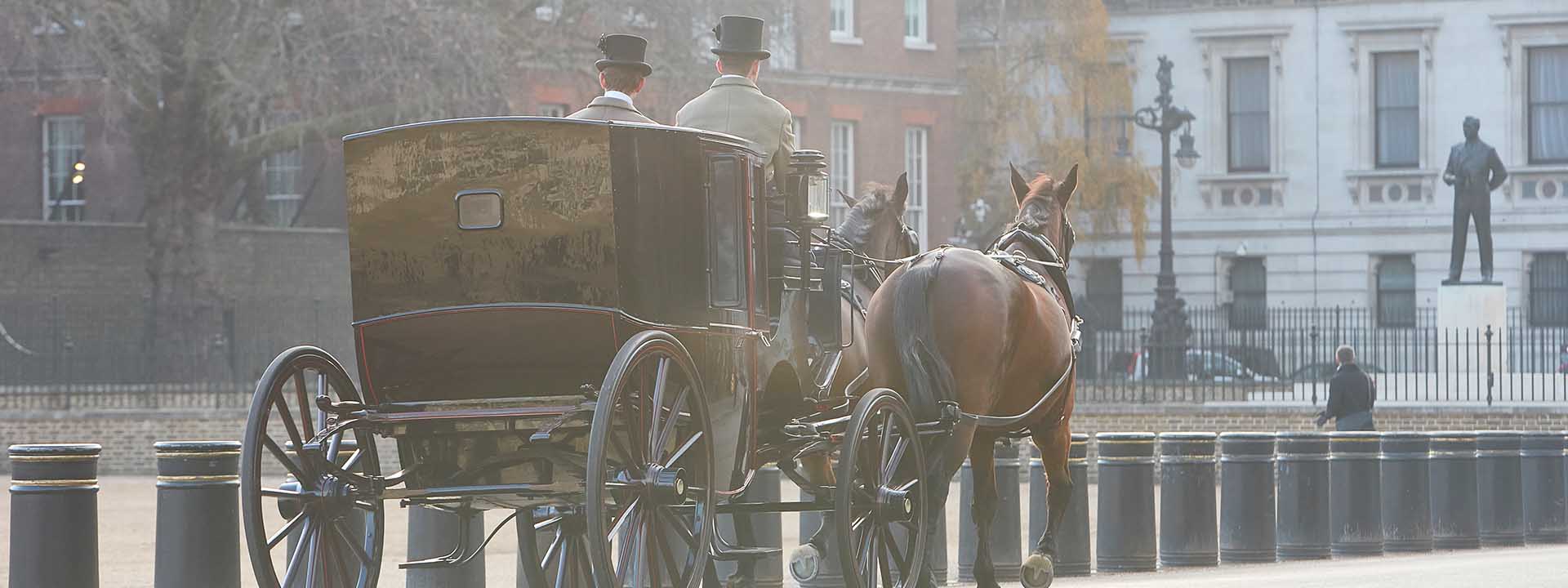 Concierge services, horse and carriage